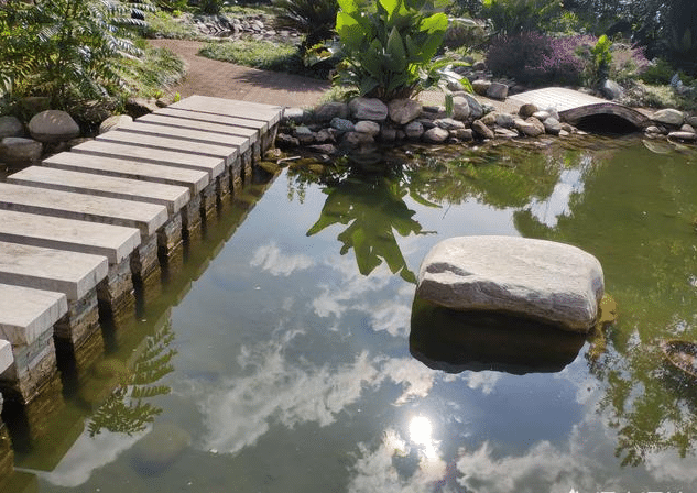 青岛锦鲤鱼池设计