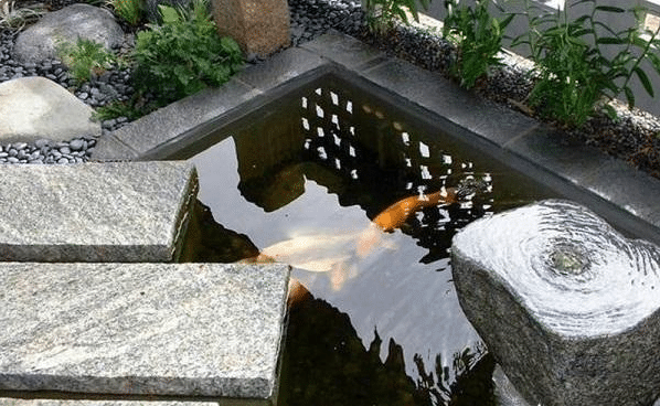 青岛锦鲤鱼池建造